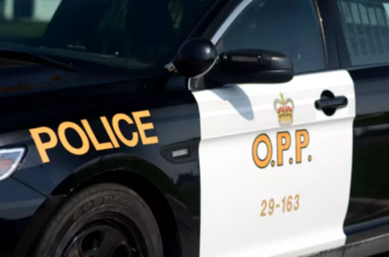 Fatal Head-On Collision Shuts Down Highway 8 in Hamilton, Investigation Ongoing