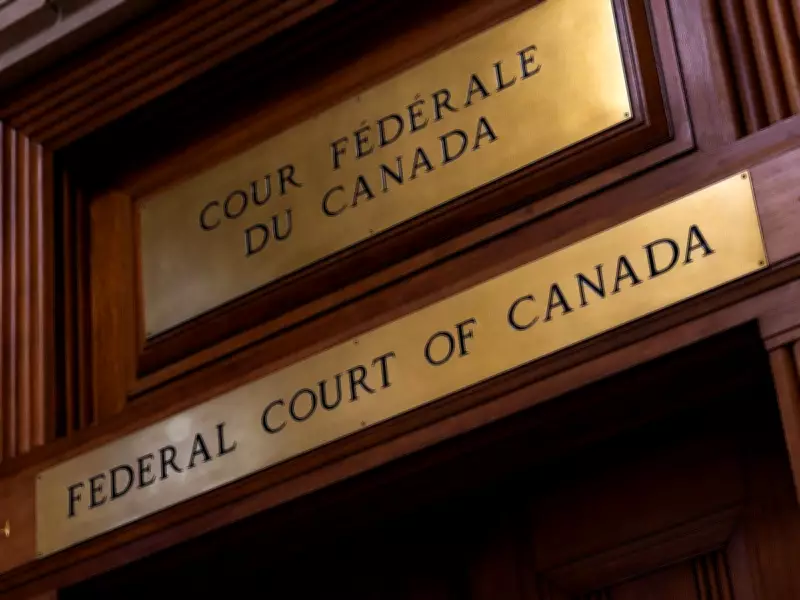 Federal Court Judge Rebukes Lawyer for Submitting AI-Generated 'Hallucinated' Cases