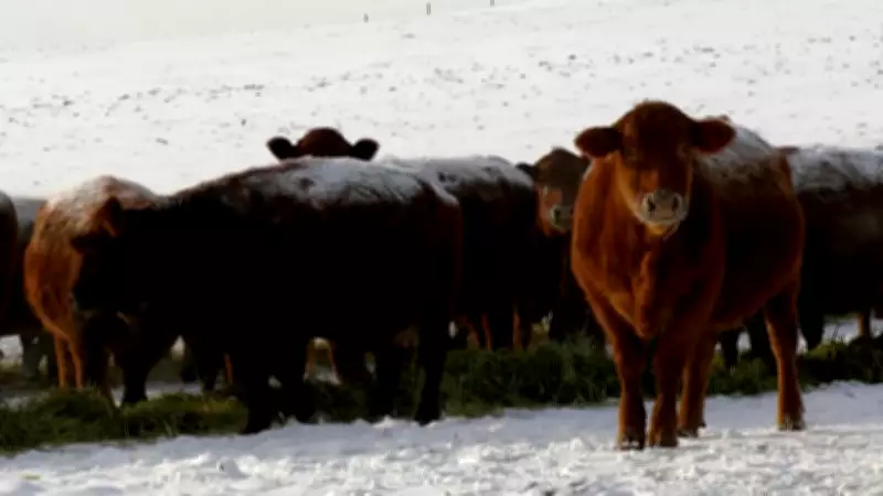 Federal Review of Lacombe Agricultural Research Centre Closure Sparks Hope