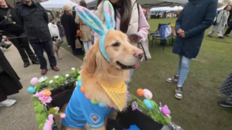 First-Ever Pet Parade Blooms at Vancouver Cherry Blossom Festival