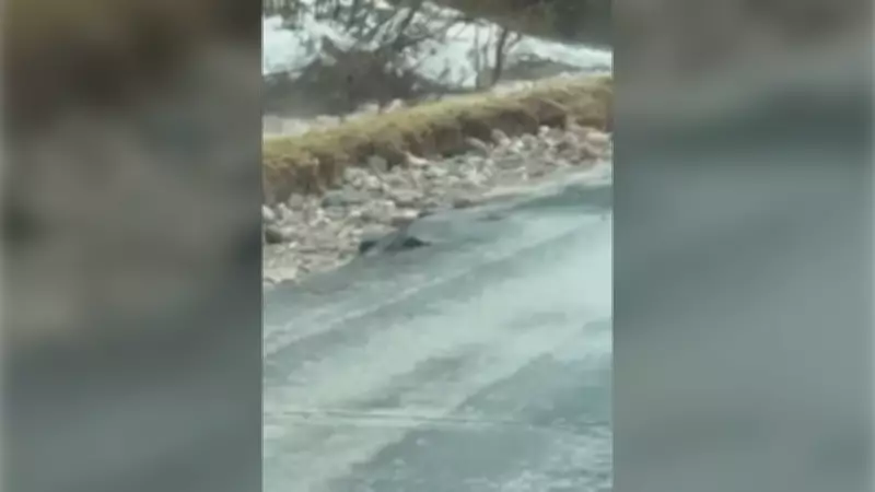 Flooding and Road Damage Hit Bruce County, Prompting Emergency Response