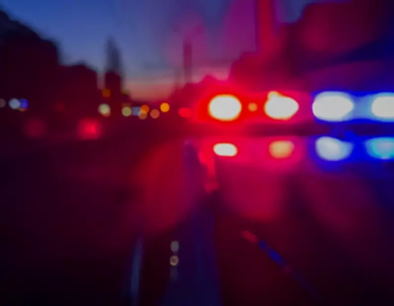 Florida Police Use Batman-Style 'Grappler' Device to End Teen Car Chase