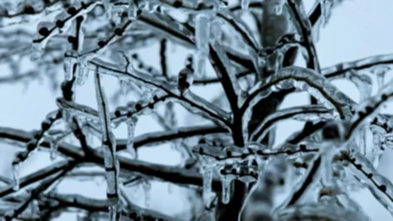Freezing Rain Alert: Parts of New Brunswick Brace for Icy Conditions This Saturday