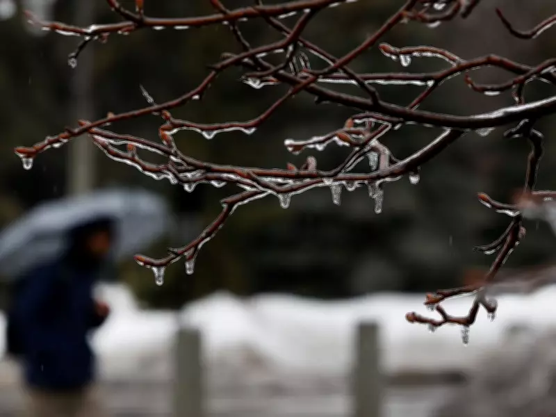 Freezing Rain Storm Paralyzes Ottawa, Cancels School Buses Amid Icy Conditions
