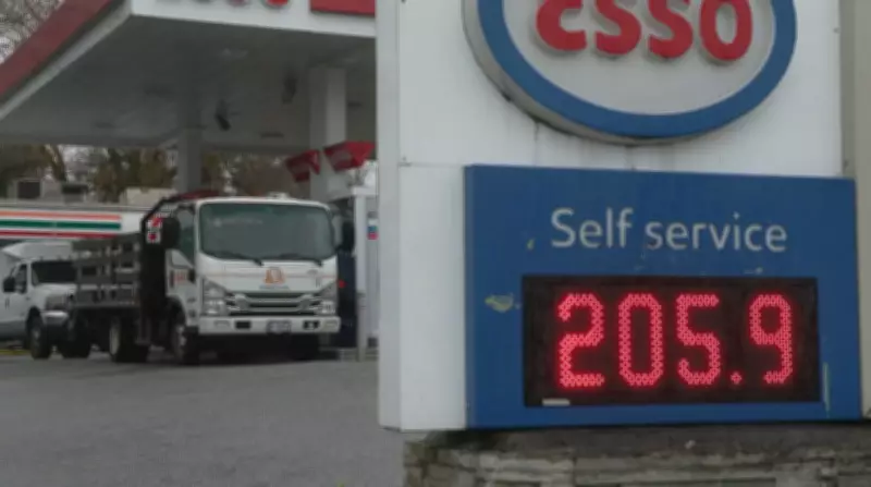 Gas Prices in Metro Vancouver Drop, Signaling Potential Future Trends