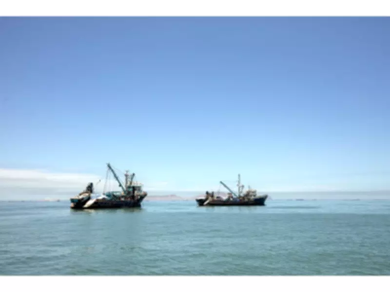 Global Fishing Watch Maps Entire Industrial Fleet in Landmark Ocean Transparency Year