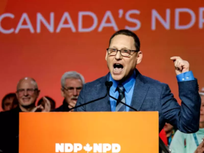 Government-Run Grocery Stores: A Recipe for Failure, Critics Warn