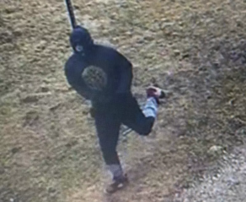 Guelph Police Hunt Suspect Following Armed Robbery at Willow Road Intersection