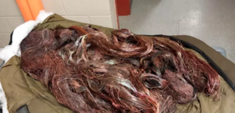 Guelph Residents Apprehended with Over $1,000 in Stolen Copper Wire