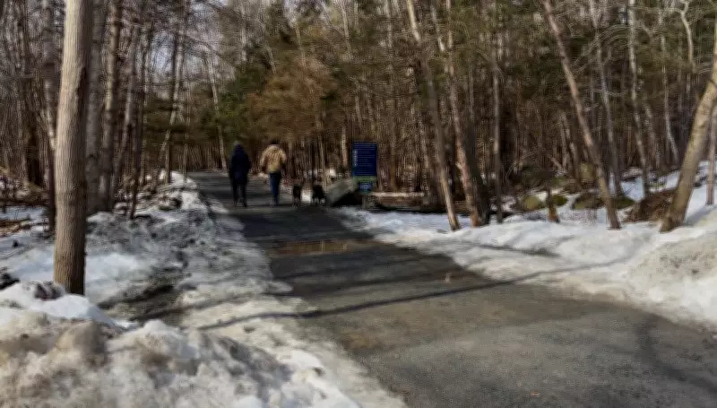 Halifax Calls for Provincial Dangerous Dog Registry to Enhance Public Safety