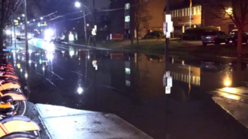 Heavy Rains Cause Flooding on Toronto Roads and at TTC's Museum Station