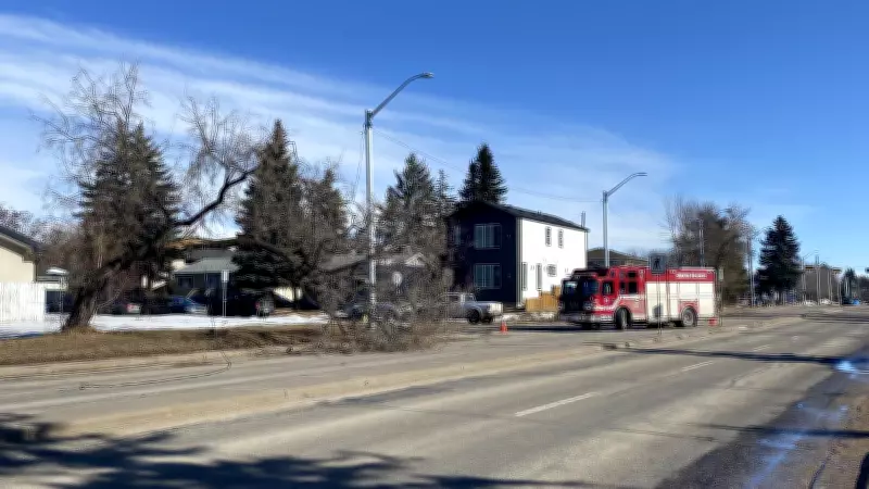 High Winds Cause Power Outages in Edmonton, EPCOR Crews Respond to Fallen Tree Incident