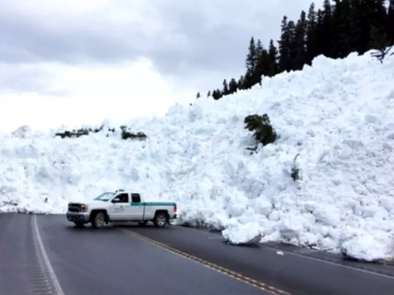 Highway 93N Closed for Avalanche Control After Multiple Large Slides Hit Icefields Parkway