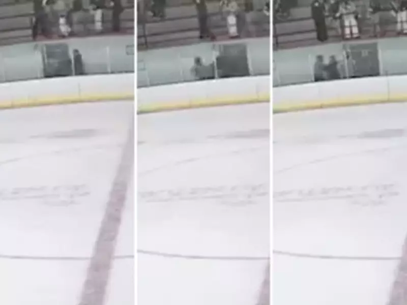 Hockey Referees Attacked After Minor League Game in Quebec, 39-Year-Old Arrested