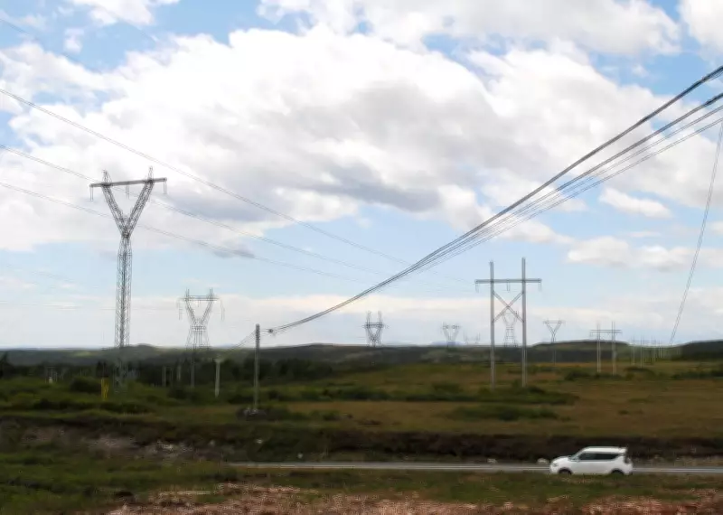 Hydrogen Firm Seeks Creditor Protection After Newfoundland Revokes Crown Land