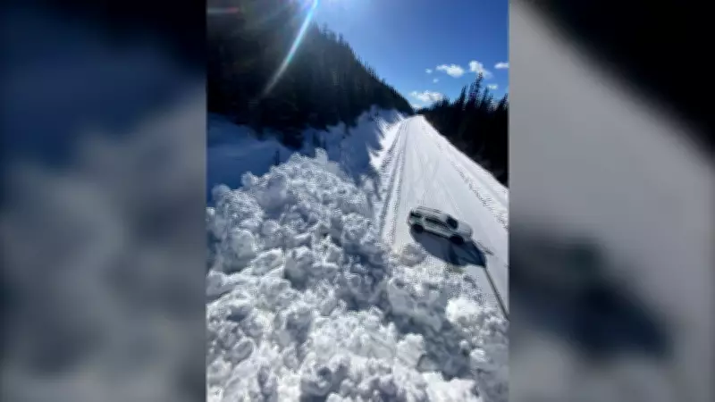 Icefields Parkway Closed After Multiple Avalanches in Kootenay National Park