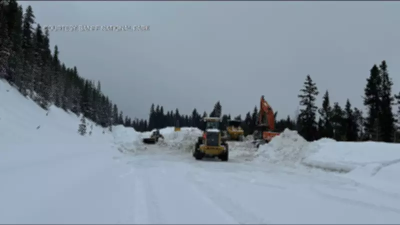 Icefields Parkway Reopens Following Avalanche Clearance in Alberta
