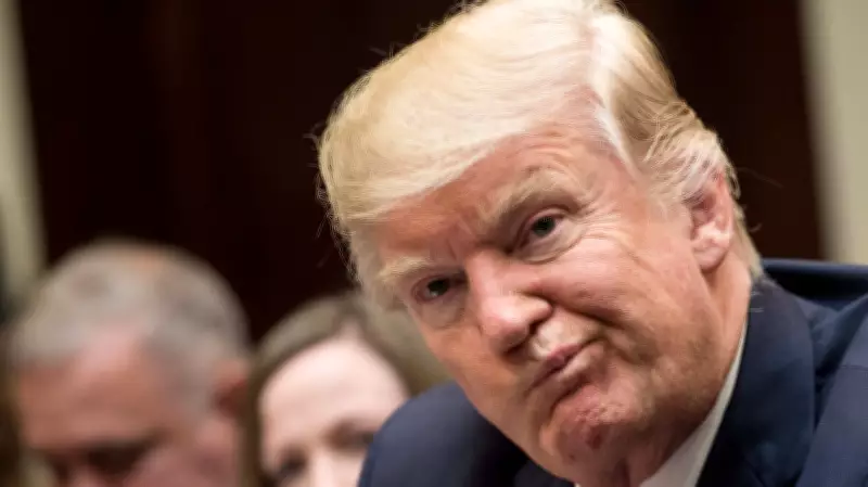 Ingraham Questions Trump's Grasp of Iran Military Operation Complexity