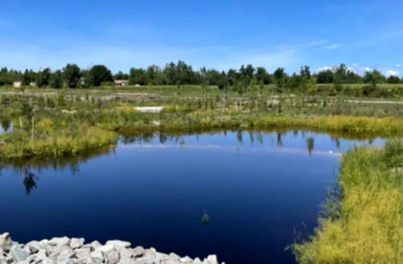 Innisfil's Stormwater Pond Upgrade Cuts Pollution Flowing into Lake Simcoe