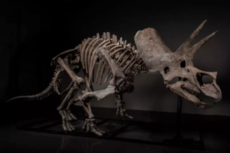 Inside Asia's Fort Knox: A 66-Million-Year-Old Triceratops in Singapore's Secret Vault