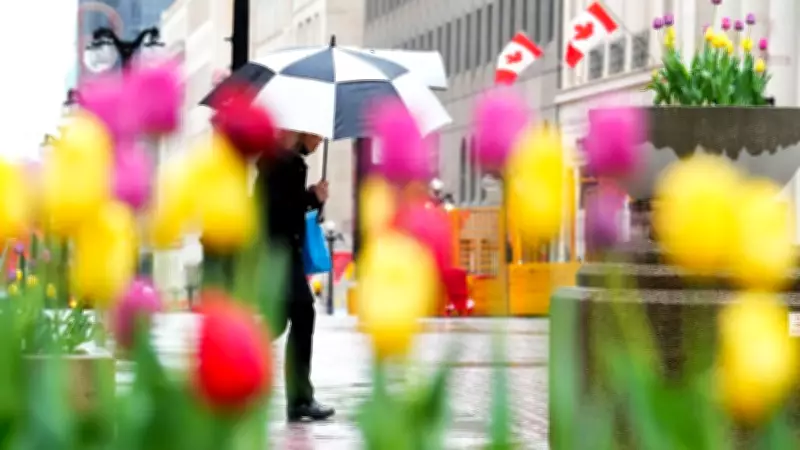 Is Spring Finally Here? Early Blooms Signal Seasonal Shift in Canada