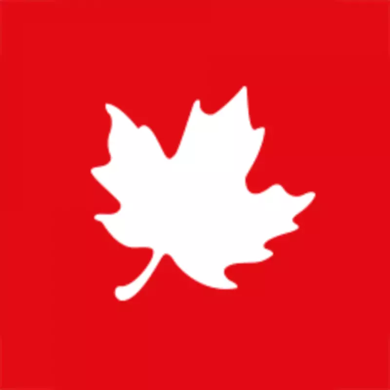 Jacob Tierney's Heated Rivalry: A New Alexander the Great Series for Netflix