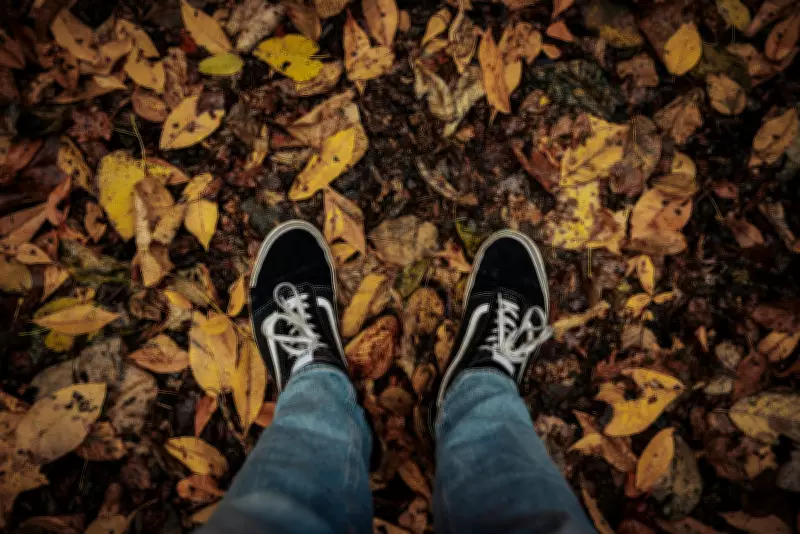 Kitchener-Cambridge to Resume Leaf Collection After Snowfall Disruption