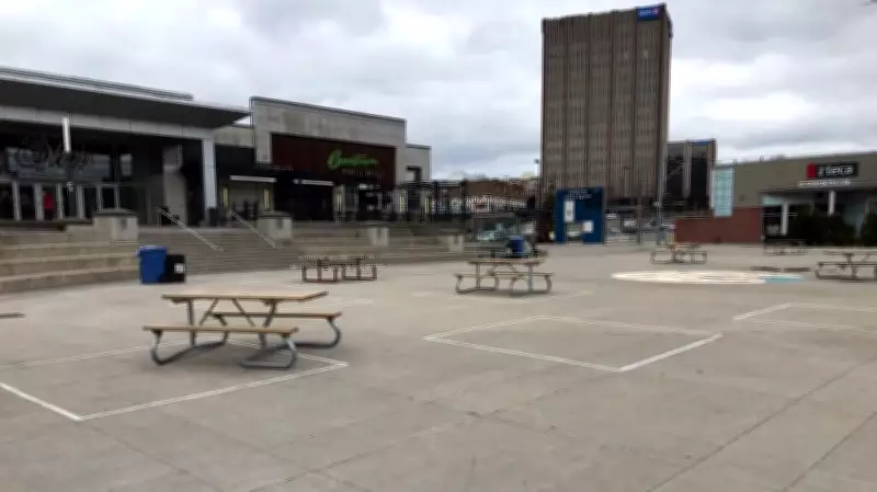 Kitchener Committee Unveils Sustainability Plan for Uptown Waterloo