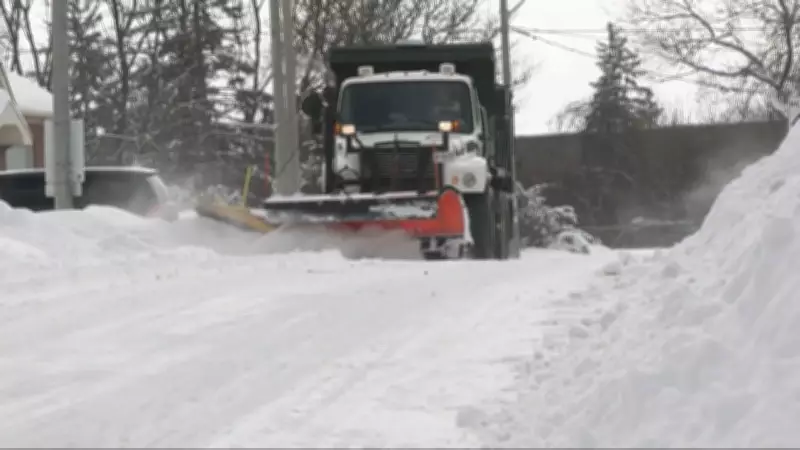 Kitchener's New Snowplows: Meet Hippoplowtamus, Blade Runner, and Lederplowsen