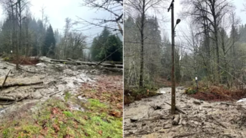 Landslide Cuts Power Lines in Coquitlam Amid Severe B.C. Storm