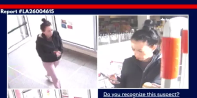 LaSalle Police Seek Suspect in Malden Road Business Theft Investigation