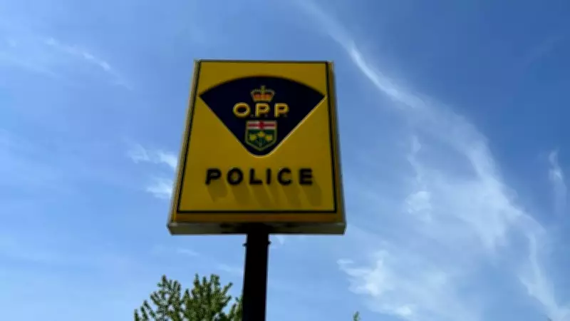 Leamington Man Faces Charges Following Alleged Multi-County Crime Spree in Ontario