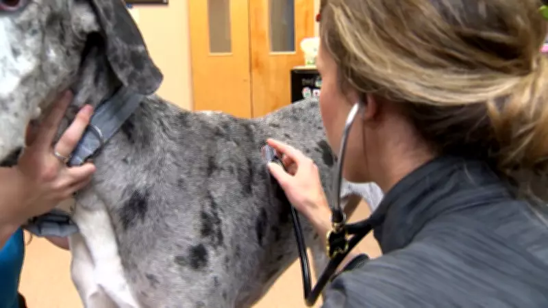 Lethbridge Polytechnic Launches Pre-Veterinary Medicine Diploma Program