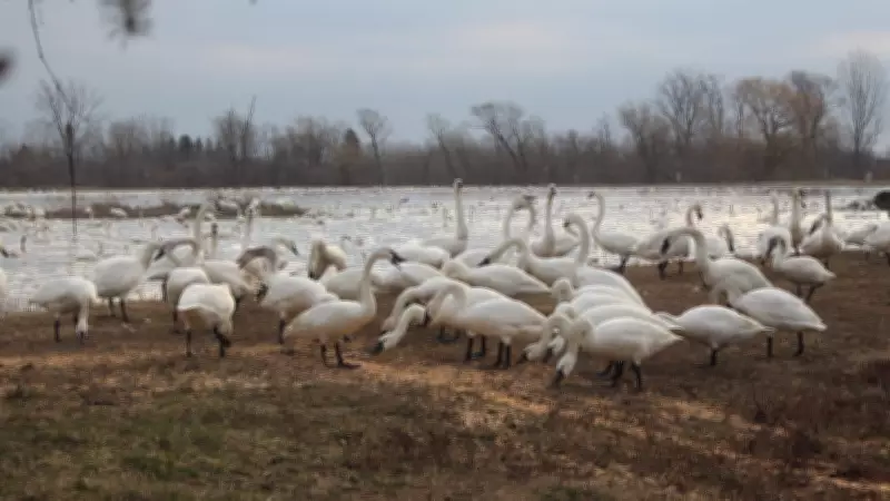 London Braces for Soggy Spring Start with Unsettled Weather Ahead