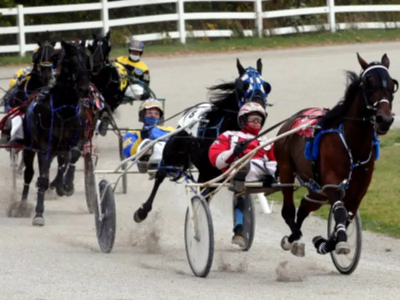 Loss of Leamington Race Date Threatens Future of Small Ontario Tracks