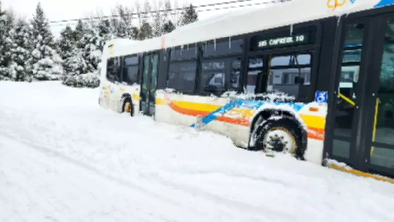 Major Winter Storm Disrupts Sudbury: Municipal Services Remain Largely Closed