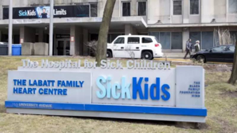 Man Arrested for Allegedly Driving Unattended Snowplow into Toronto's SickKids Hospital