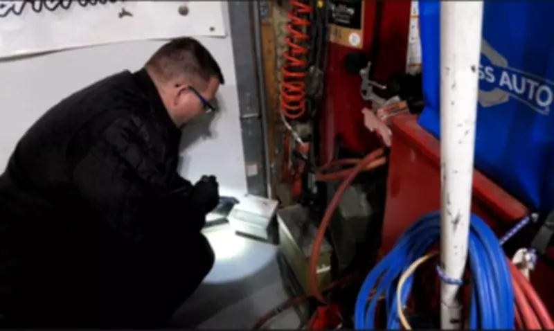 Manitoba Pest Control Reports Unprecedented Surge in Mouse Infestation Calls