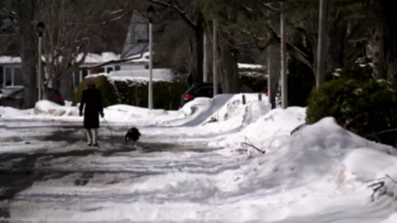 Manor Park Sidewalk Debate Reignites as Ottawa City Project Resurfaces