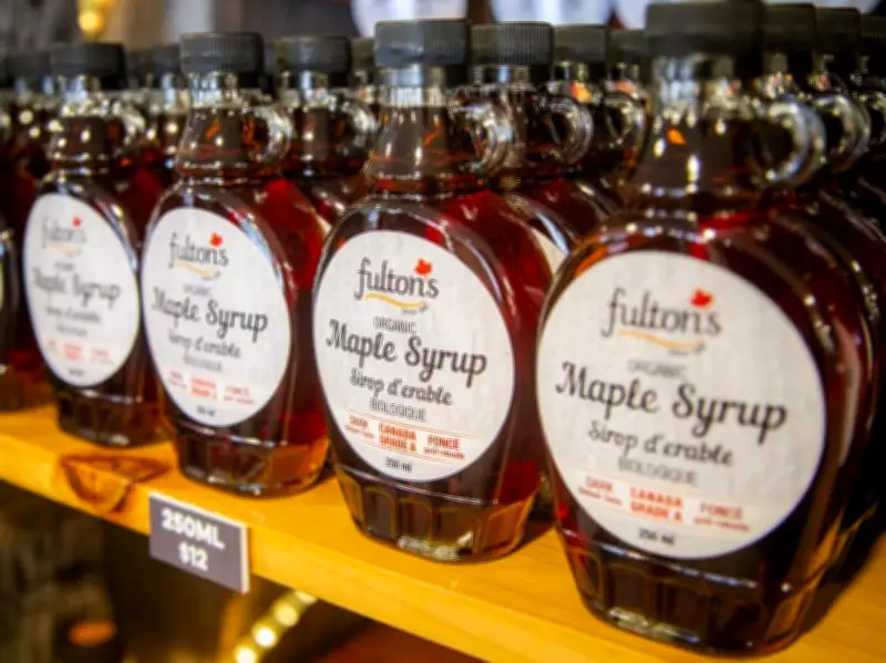 Maple Syrup Season Arrives: A Sweet Canadian Tradition Begins