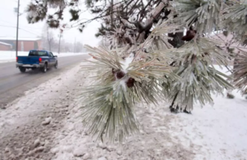 Maritimes Weather Alerts Expand to Include Snowfall and Freezing Rain Warnings
