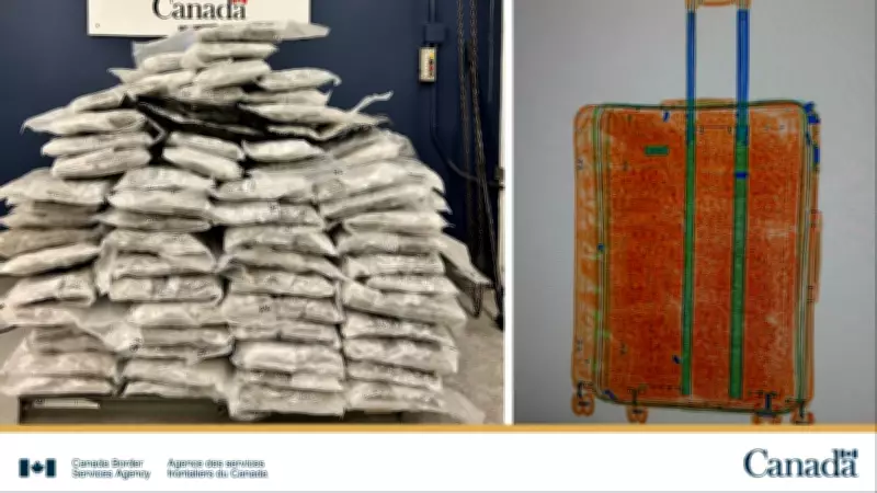 Massive Illegal Cannabis Haul Seized at Toronto Pearson Airport by CBSA