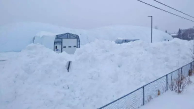 Massive March Storm Ravages Northern Ontario, Sault and Sudbury Bear Brunt