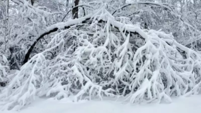 Massive Winter Storm Batters Northeastern Ontario with Heavy Snow and High Winds