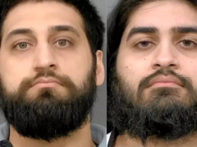 Mississauga Brothers Charged in $800K Auto Theft Ring Investigation