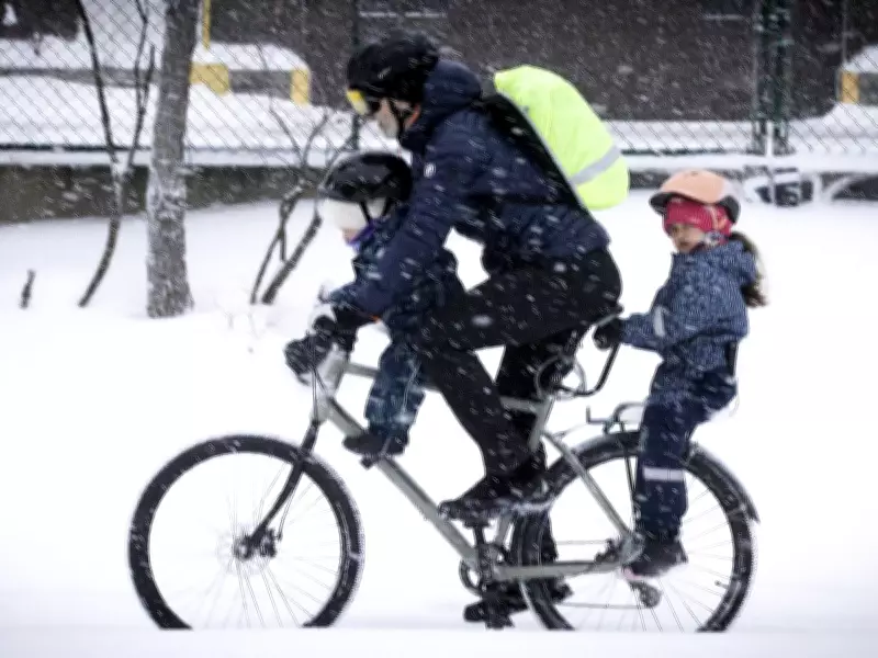 Montreal Braces for Late Winter Snowfall with Gusty Winds and Chilly Temperatures