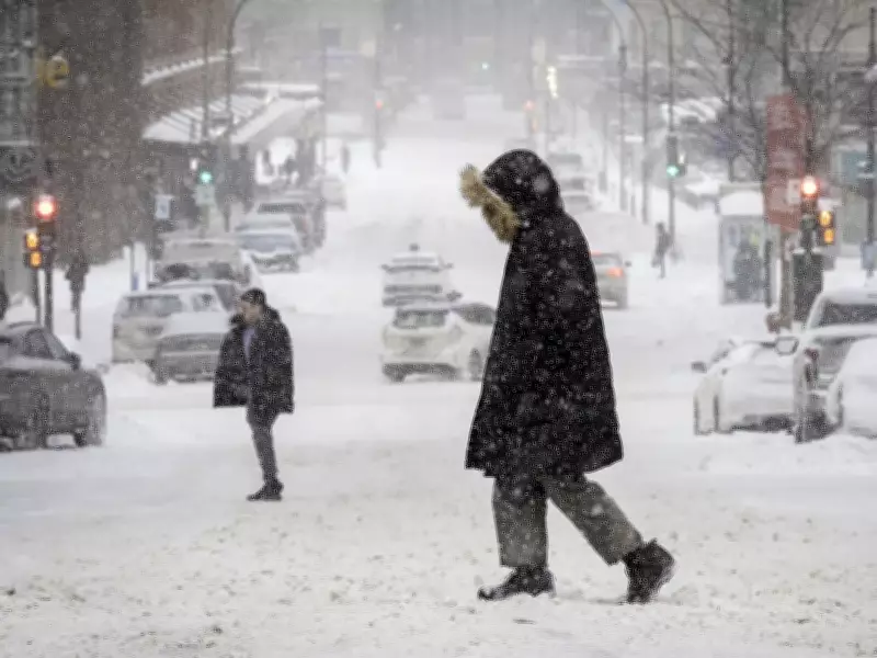 Montreal Braces for Up to 10 cm of Snow Friday, Travel Disruptions Expected
