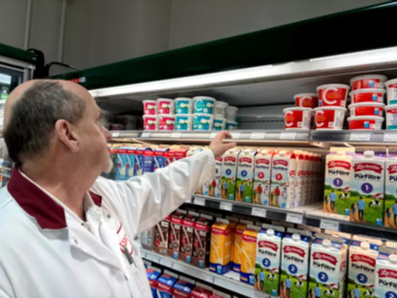 Montreal Grocery Stores Face Cottage Cheese Shortage as Demand Soars
