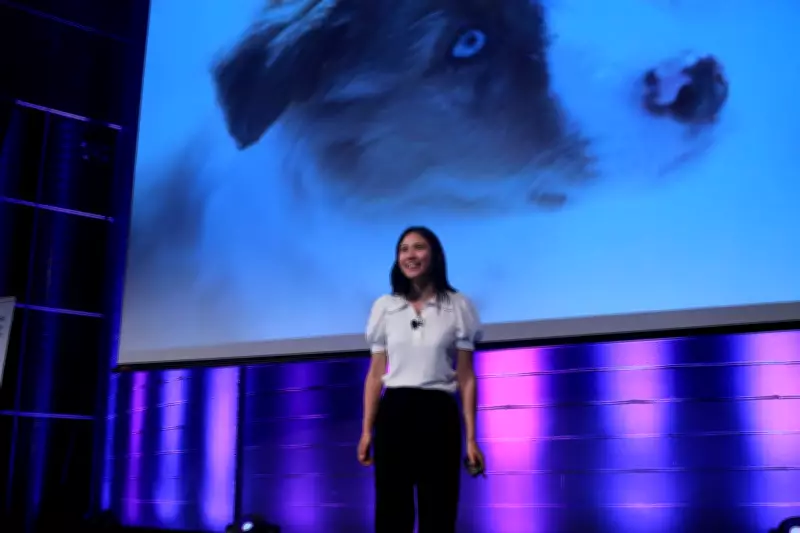 Montreal's Asian Heritage Month Fuels Local Business Boom and Cultural Celebration