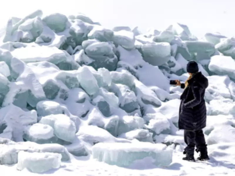 Montreal's Spring Transition Brings Chilly Nights and Weekend Flurries